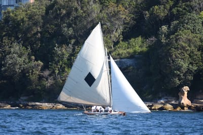 DSC_6807.JPG
