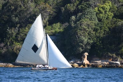DSC_6808.JPG