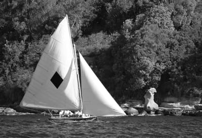 DSC_6808 bw.jpg