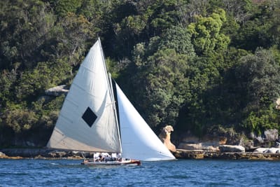 DSC_6809.JPG