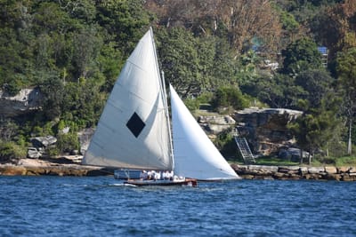DSC_6810.JPG