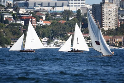DSC_6812.JPG