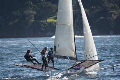 DSC_6817.JPG