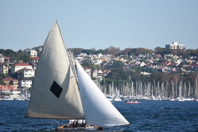 DSC_6818.JPG