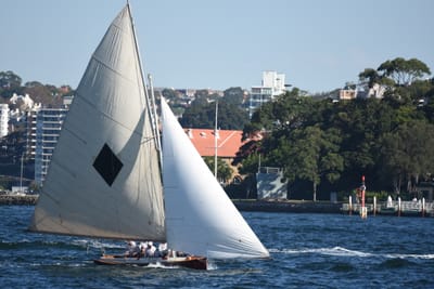 DSC_6820.JPG