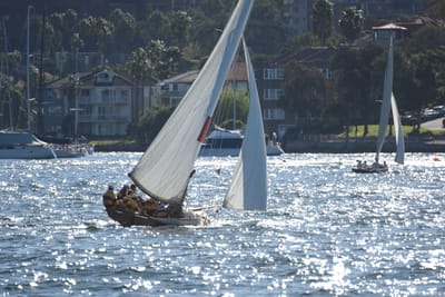 DSC_6824.JPG