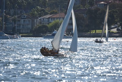 DSC_6825.JPG