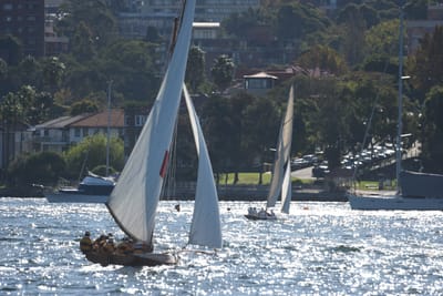 DSC_6826.JPG