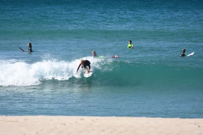 DSC_8098.JPG