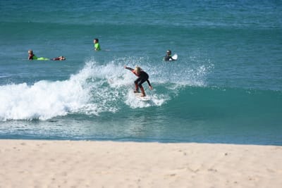 DSC_8103.JPG