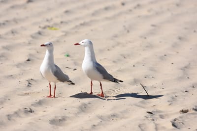 DSC_8106.JPG