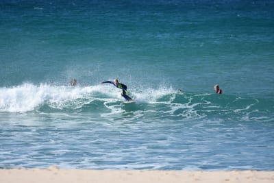 DSC_8124.JPG