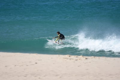 DSC_8144.JPG
