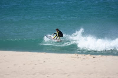 DSC_8145.JPG
