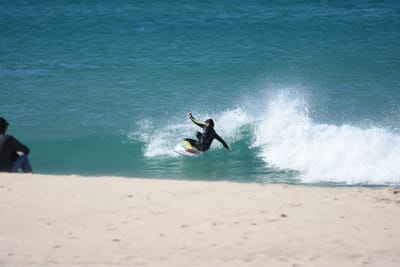 DSC_8147.JPG