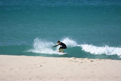 DSC_8150.JPG