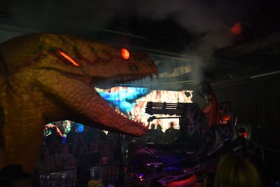 DSC_2049.JPG