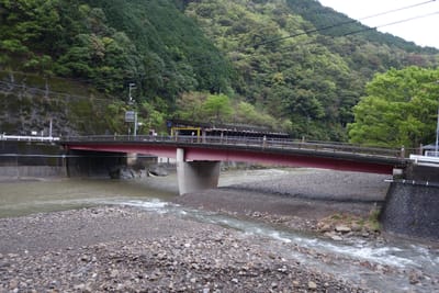 DSC08955.JPG