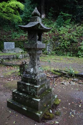 DSC08962.JPG
