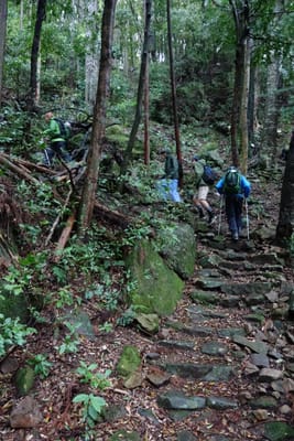DSC08963.JPG