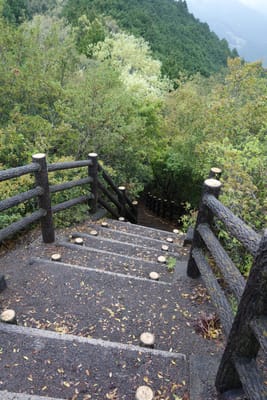 DSC08974.JPG