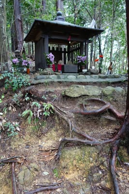 DSC08978.JPG