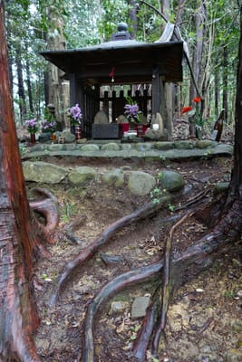 DSC08979.JPG