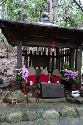 DSC08980.JPG