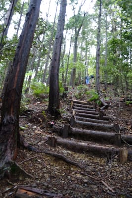DSC08982.JPG