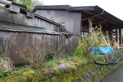 DSC08989.JPG