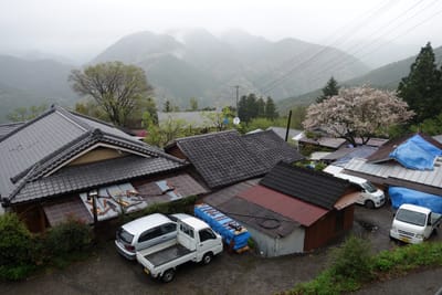 DSC08990.JPG