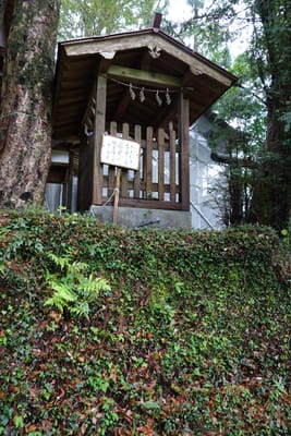 DSC08995.JPG