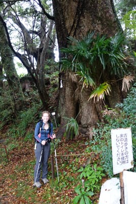 DSC08996.JPG