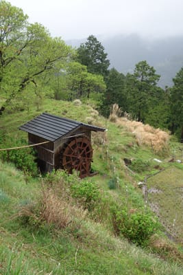 DSC09000.JPG