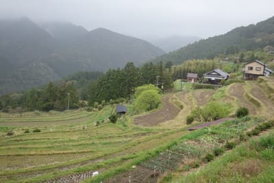 DSC09002.JPG