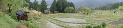 DSC09003.JPG