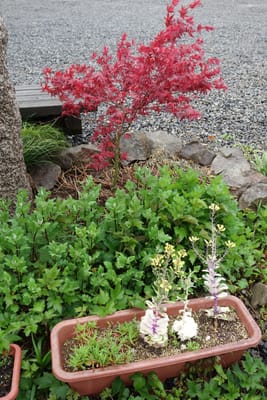 DSC09004.JPG
