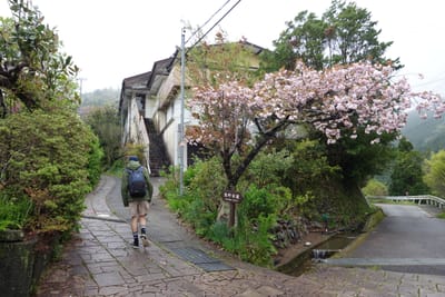 DSC09008.JPG