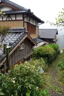 DSC09009.JPG