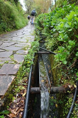 DSC09010.JPG