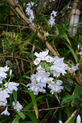 DSC09011.JPG