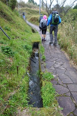 DSC09014.JPG