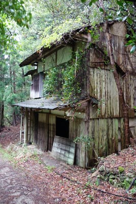 DSC09021.JPG