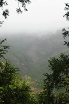 DSC09022.JPG