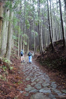 DSC09023.JPG