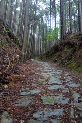 DSC09024.JPG