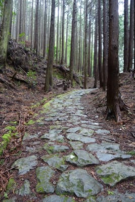 DSC09025.JPG