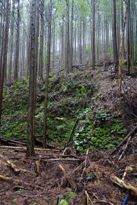 DSC09027.JPG