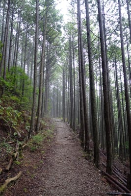 DSC09030.JPG