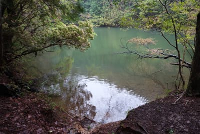 DSC09041.JPG